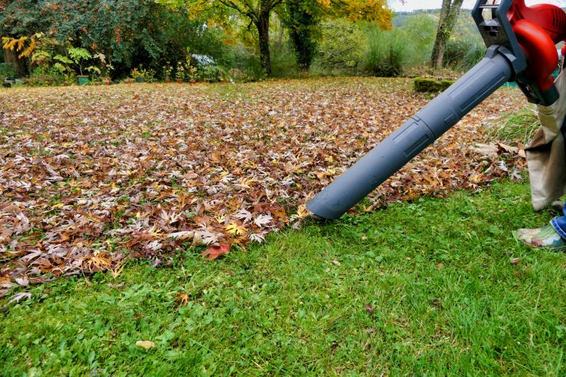 Seasonal Lawn Care Tools