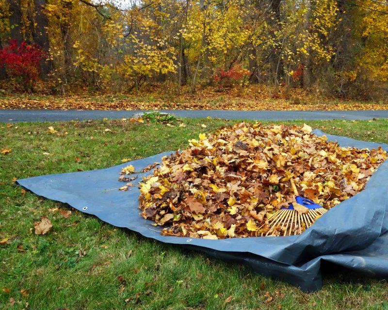 Fall Leaf Removal
