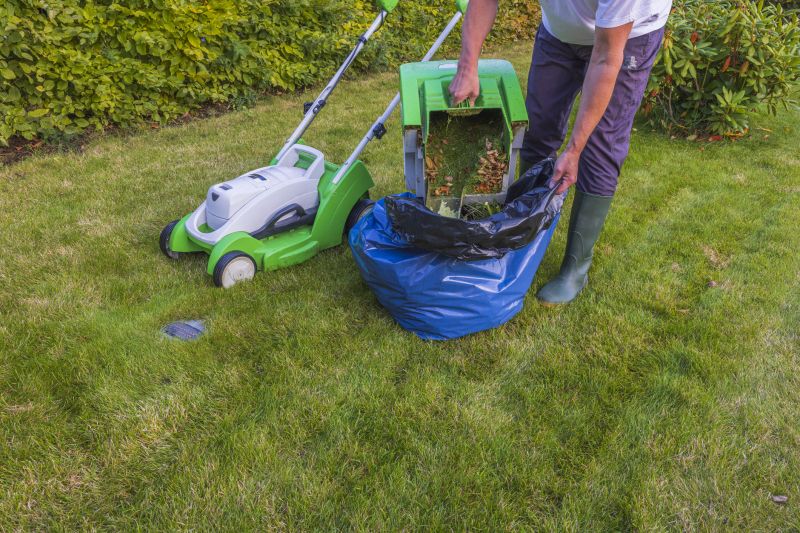 Products For Lawn Clean Ups in use